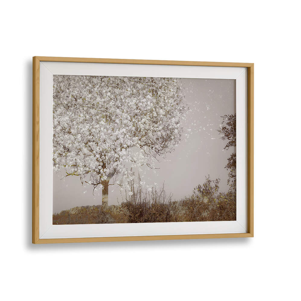 FRUIT TREE , FLORAL FLOWER PAINTINGS