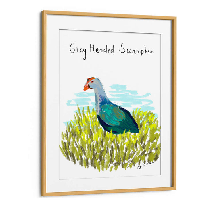 GREY HEADED SWAMPHEN
