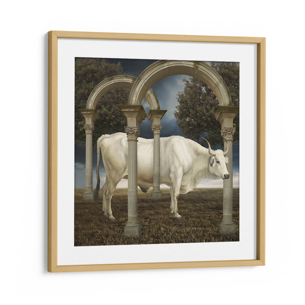 ILLUSIONNISME DE LA VACHE