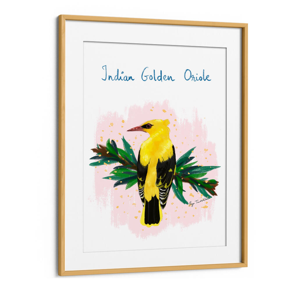 INDIAN GOLDEN ORIOLE