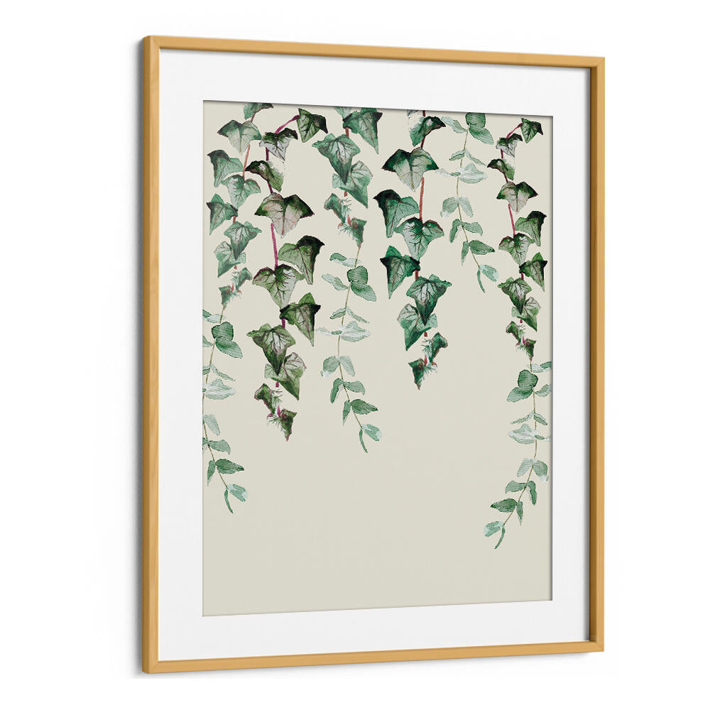 IVY Y EUCALYPTUS