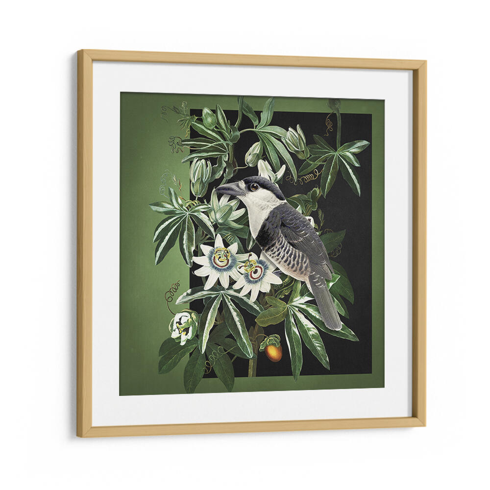 L'OISEAU ET LA PASSIFLORE