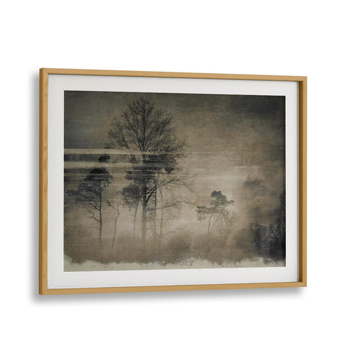 OLD POSTCARD , FLORAL FLOWER PAINTINGS