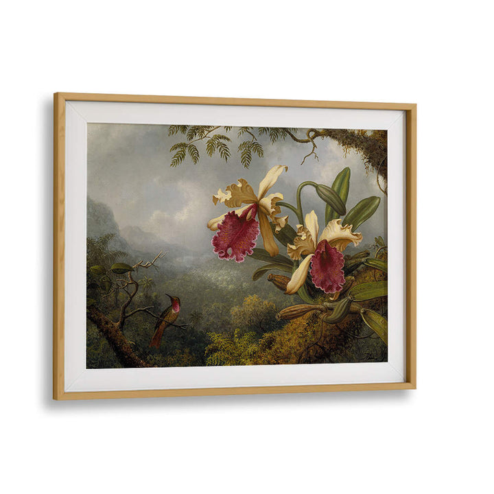 ORCHIDS AND HUMMINGBIRD , FLORAL FLOWER PAINTINGS