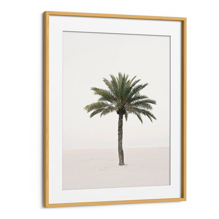 PALM II , BEACH PAINTINGS