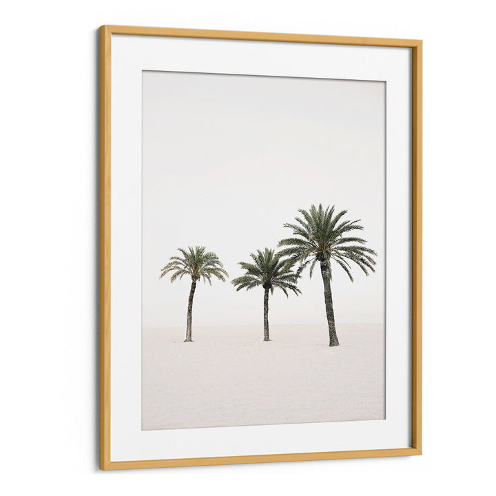 PALMS , BEACH PAINTINGS
