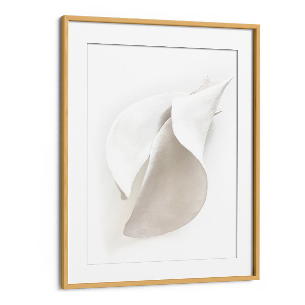 PETAL'S SILENCE , ORGANIC FORMS