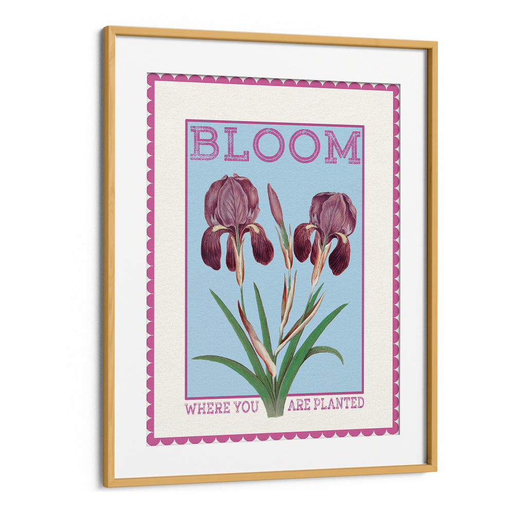 PURPLE IRISES BLOOM QUOTE