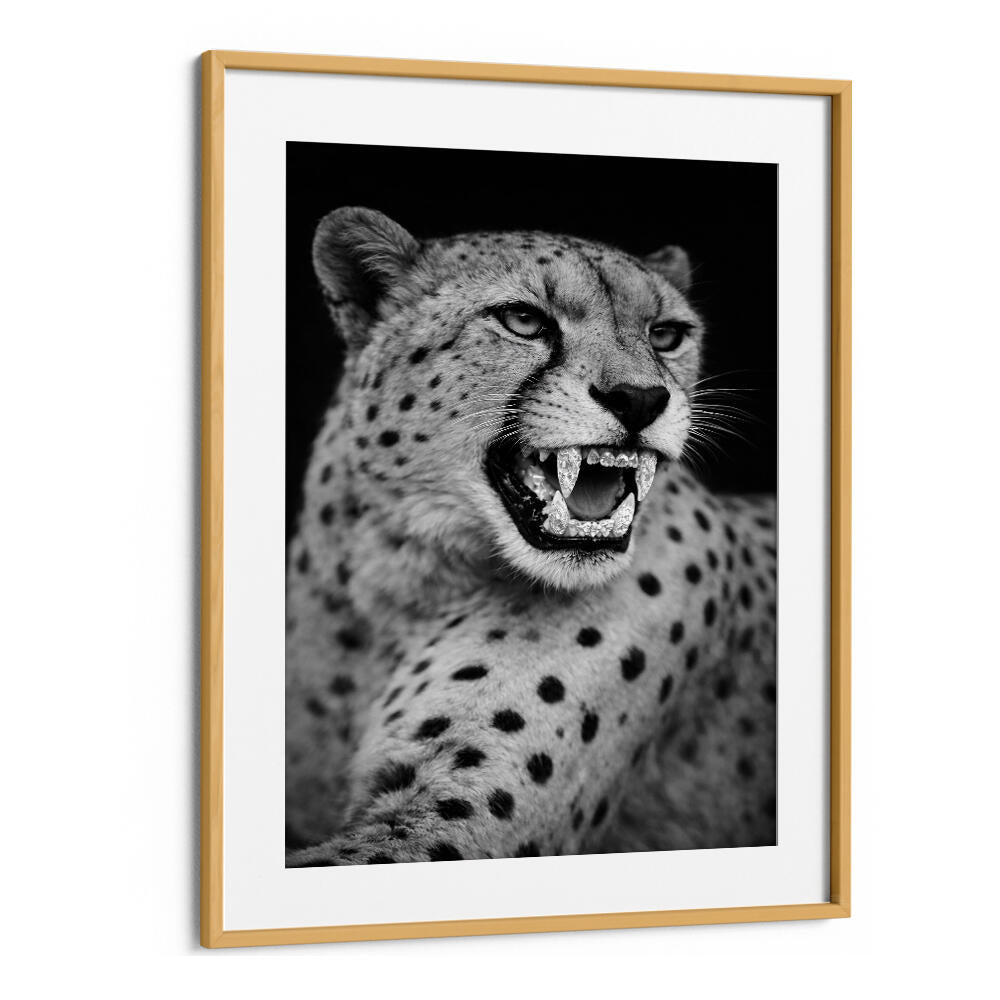 ROARING PREDATOR