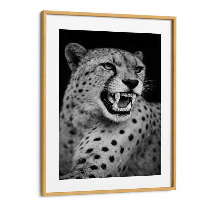 ROARING PREDATOR