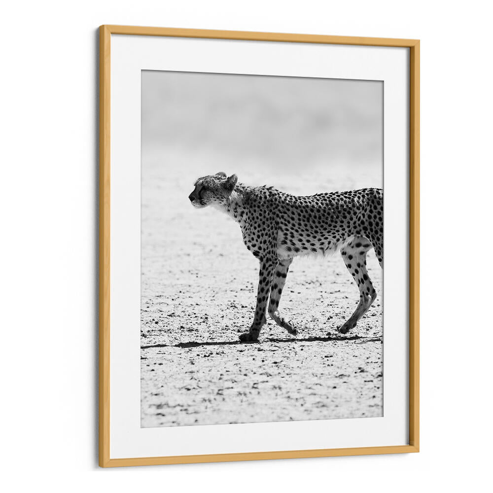 SILENT PURSUIT , ANIMAL PAINTINGS - Oakwood Mount framed black-and-white cheetah walking across a sandy plain