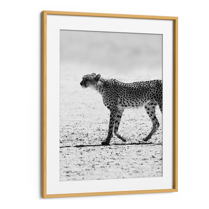 SILENT PURSUIT , ANIMAL PAINTINGS - Oakwood Mount framed black-and-white cheetah walking across a sandy plain