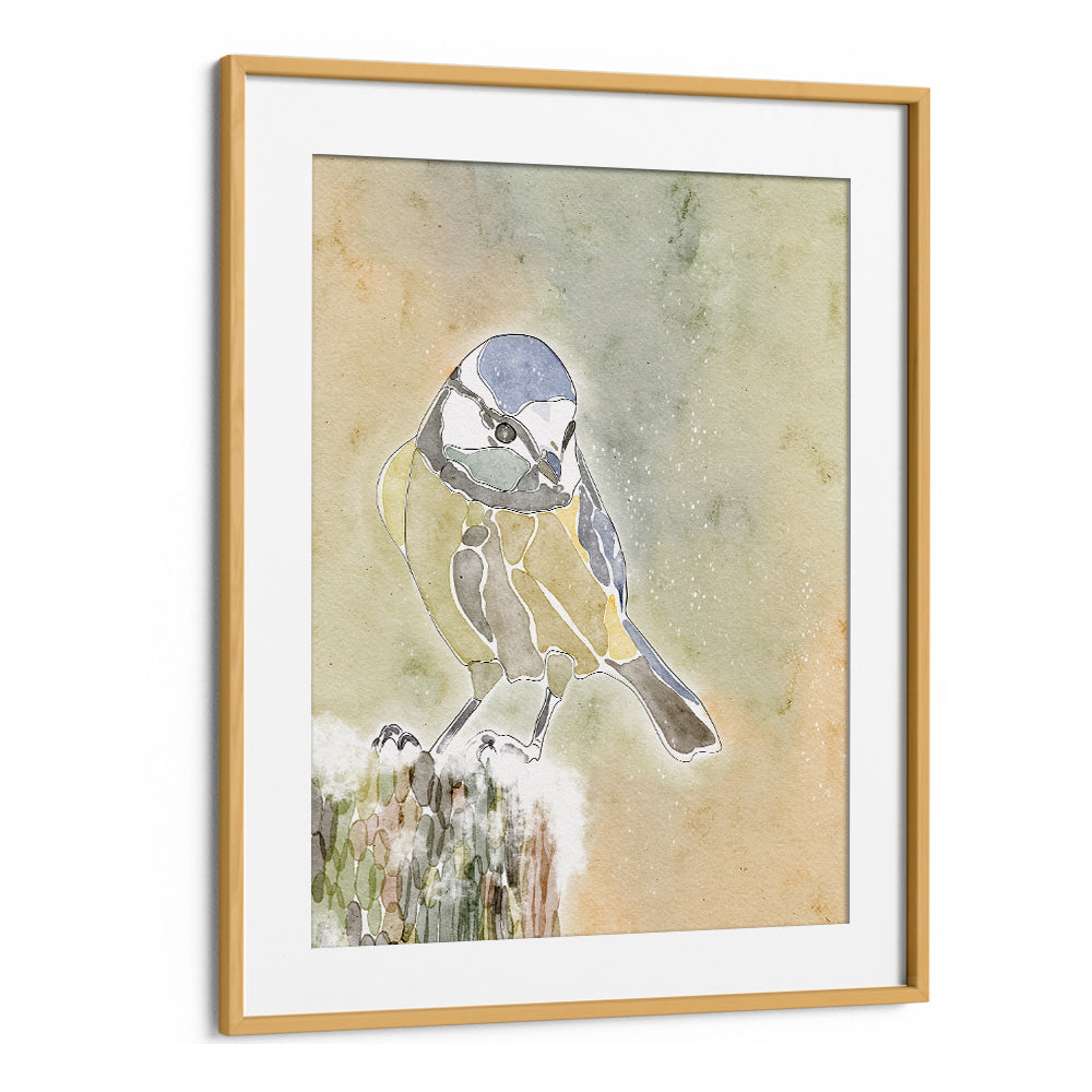 SNOWY BLUE TIT