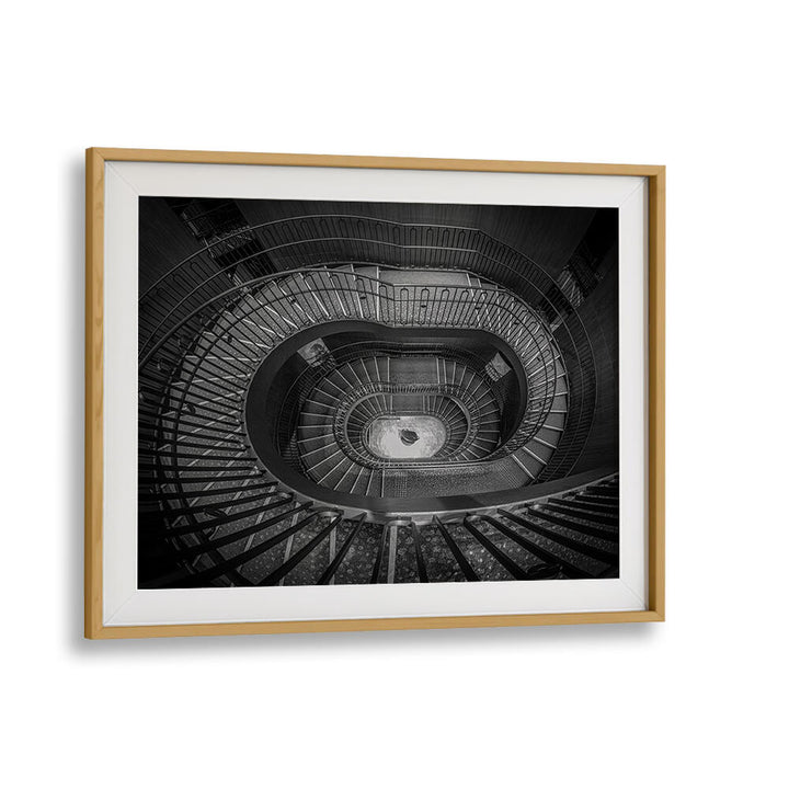 SPIRAL ELEGANCE II