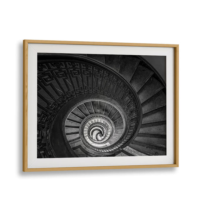 SPIRAL LADDER