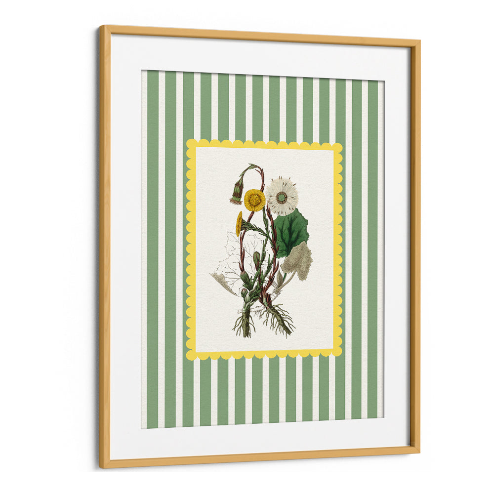 SPRING DANDELION STUDY