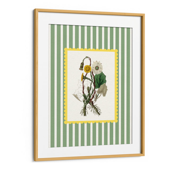 SPRING DANDELION STUDY