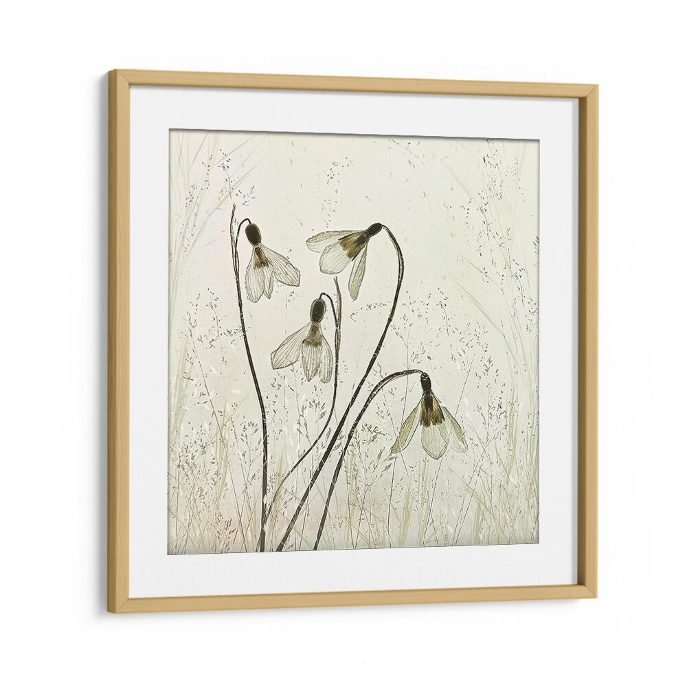 SPRINGTIME II , FLORAL FLOWER PAINTINGS