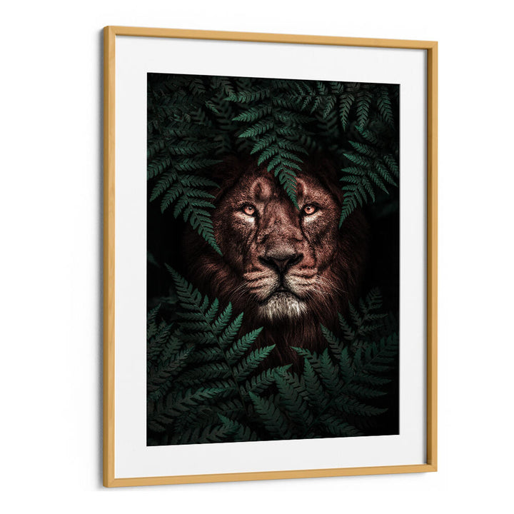 THE LION KING , ANIMAL PAINTINGS