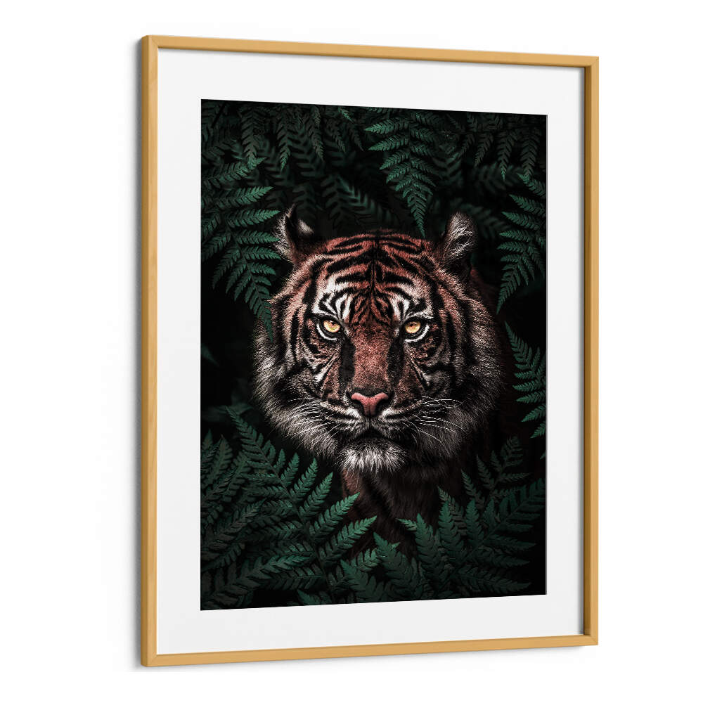 TIGER , ANIMAL PAINTINGS