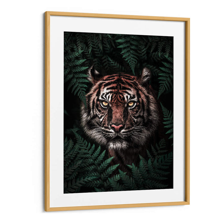 TIGER , ANIMAL PAINTINGS