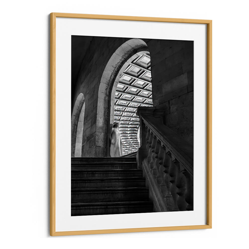 TIMELESS ARCHES