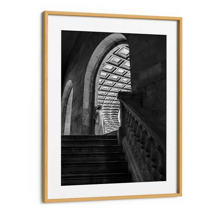 TIMELESS ARCHES