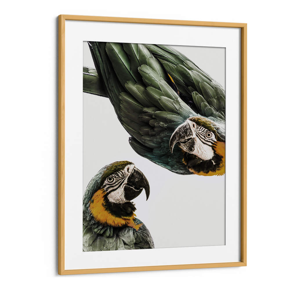 VIBRANT PARROT DUO , ANIMAL PAINTINGS by OakwoodMount, two green-and-gold macaws in framed wall art