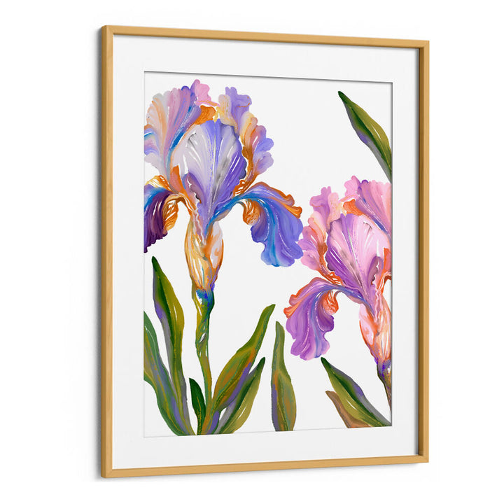 WATERCOLOR IRIS , FLORAL FLOWER PAINTINGS