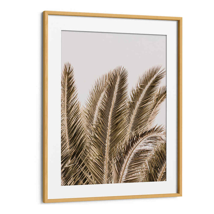 Oakwood Mount framed WINDSWEPT PALMS , BEACH PAINTINGS — sepia windswept palm fronds against pale sky