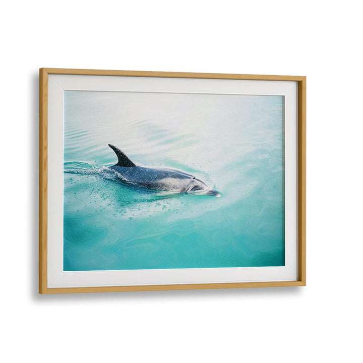 DOLPHIN N.Z. NORTHERN , LANDSCAPE PHOTO PRINTS , LANDSCAPE PHOTOGRAPHY