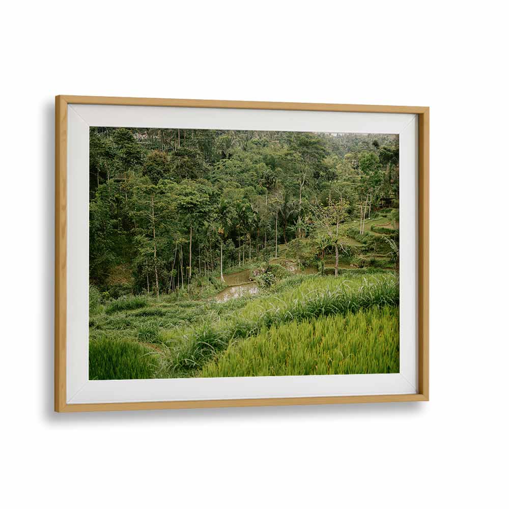 TETEBATU LOMBOK , LANDSCAPE PHOTO PRINTS , LANDSCAPE PHOTOGRAPHY