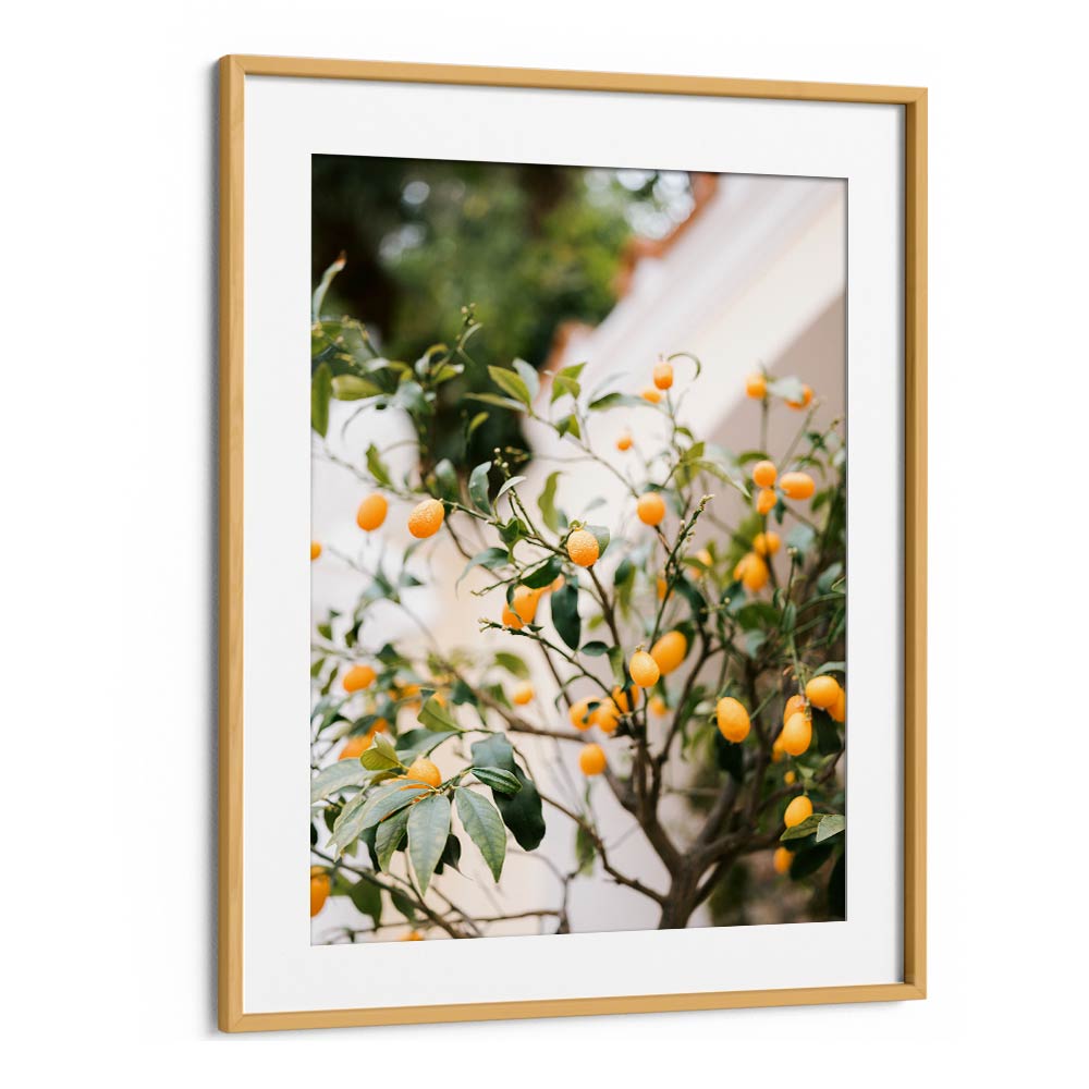 ORANGE CAPRI , PHOTOGRAPHY PRINTS