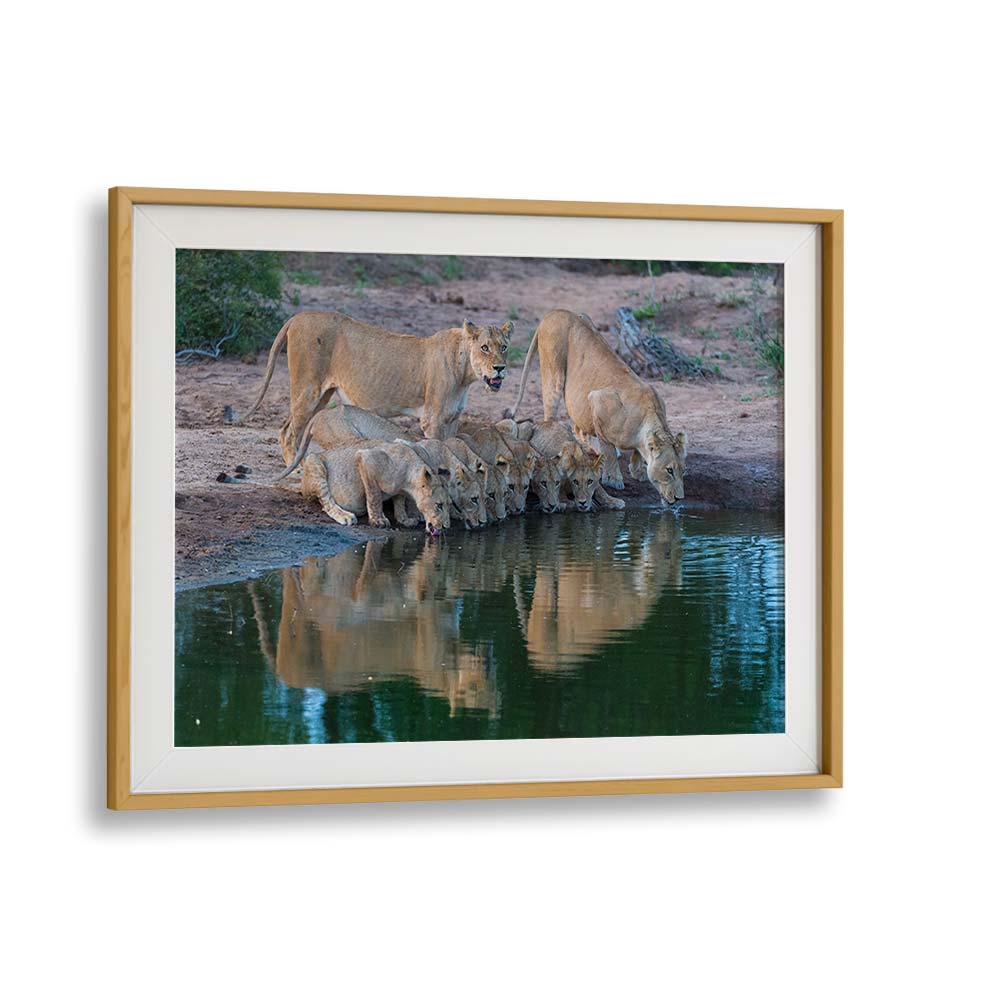 THE FAMILY II BY MARC PELISSIER , LANDSCAPE PHOTO PRINTS