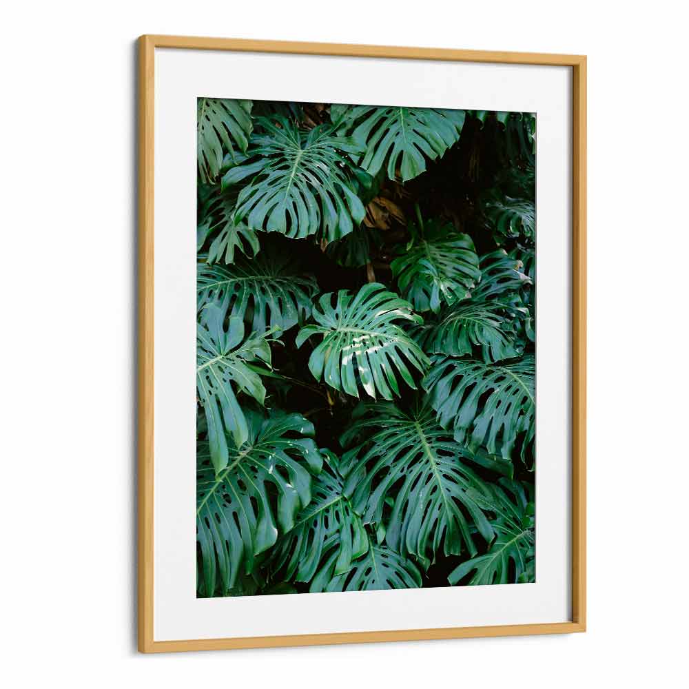 MONSTERA WALL IN LISBON , PHOTOGRAPHY PRINTS