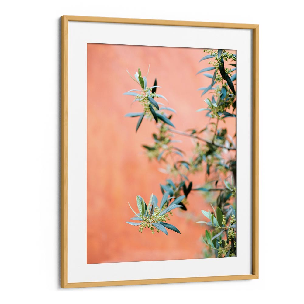 GREEN AND CORAL , PHOTOGRAPHY PRINTS