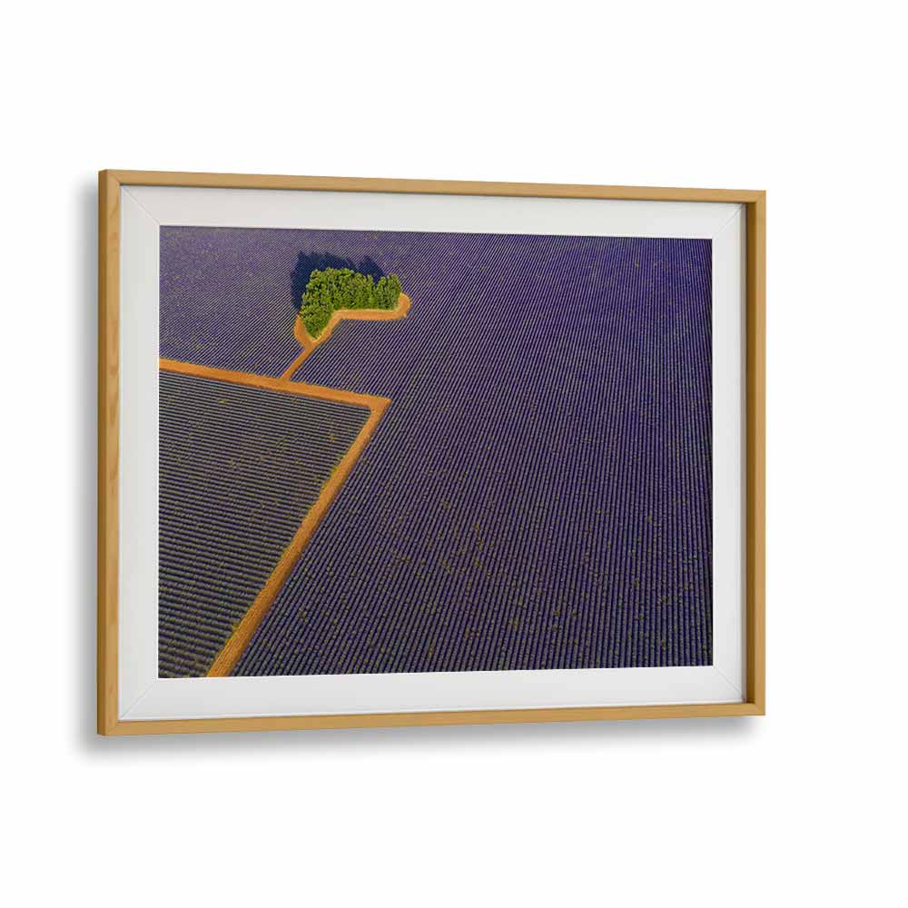 LAVENDER GRAPHIC BY MARC PELISSIER , LANDSCAPE PHOTO PRINTS