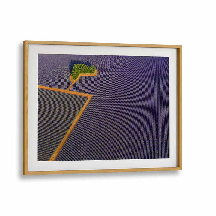 LAVENDER GRAPHIC BY MARC PELISSIER , LANDSCAPE PHOTO PRINTS