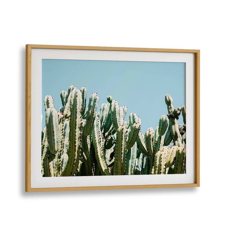 SOUTH OF SPAIN BY RAISA ZWART , LANDSCAPE PHOTO PRINTS