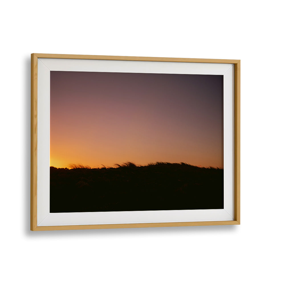 DUNE GRASS SUNSET HORIZONTAL , LANDSCAPE PHOTO PRINTS