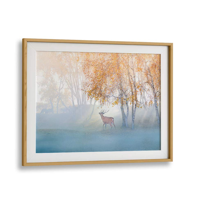 ELK LOST IN MIST BY SIMOON , LANDSCAPE PHOTO PRINTS