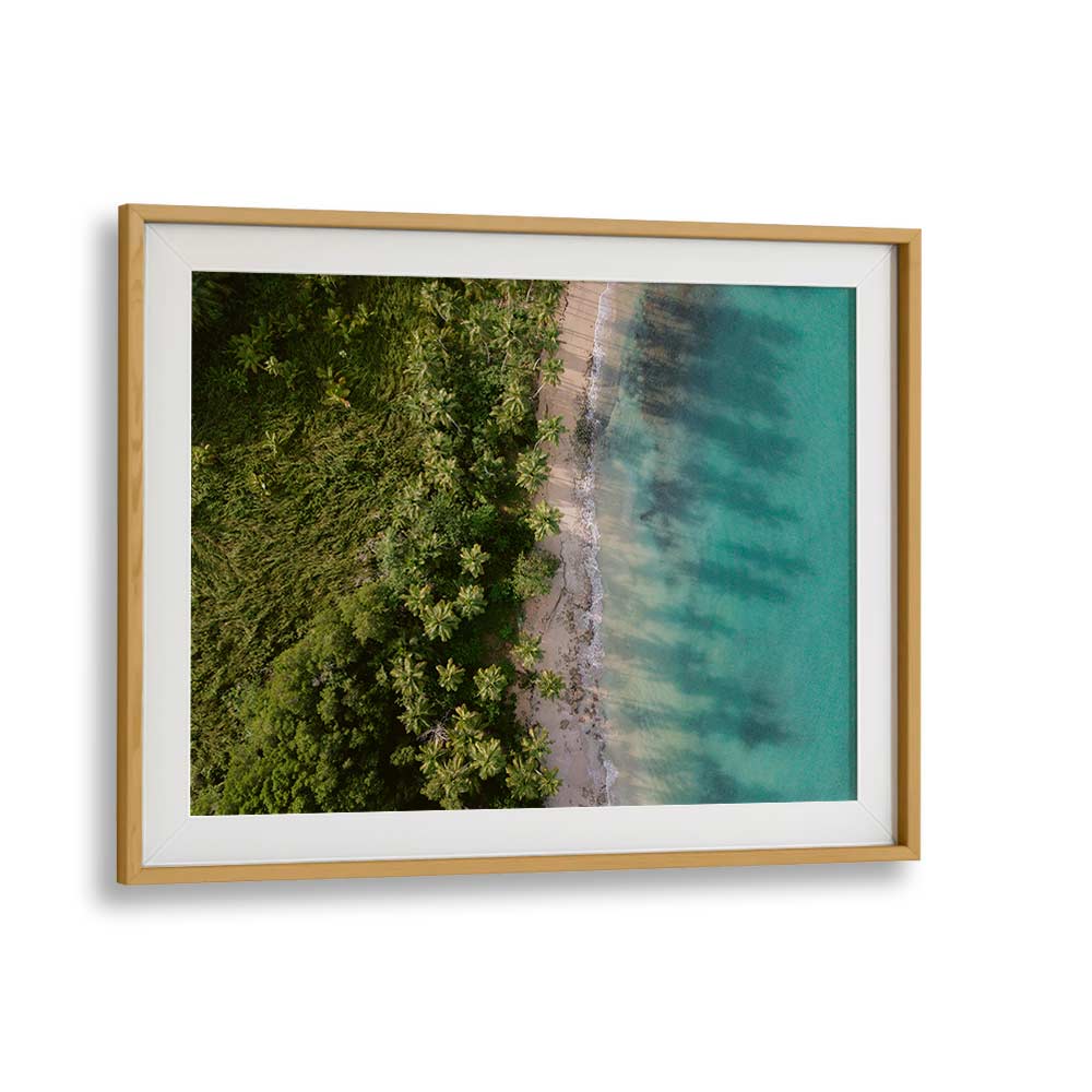 GREEN BEACH FROM ABOVE II BY RAISA ZWART , LANDSCAPE PHOTO PRINTS