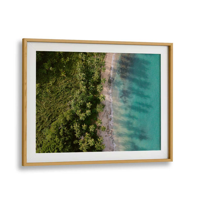 GREEN BEACH FROM ABOVE II BY RAISA ZWART , LANDSCAPE PHOTO PRINTS