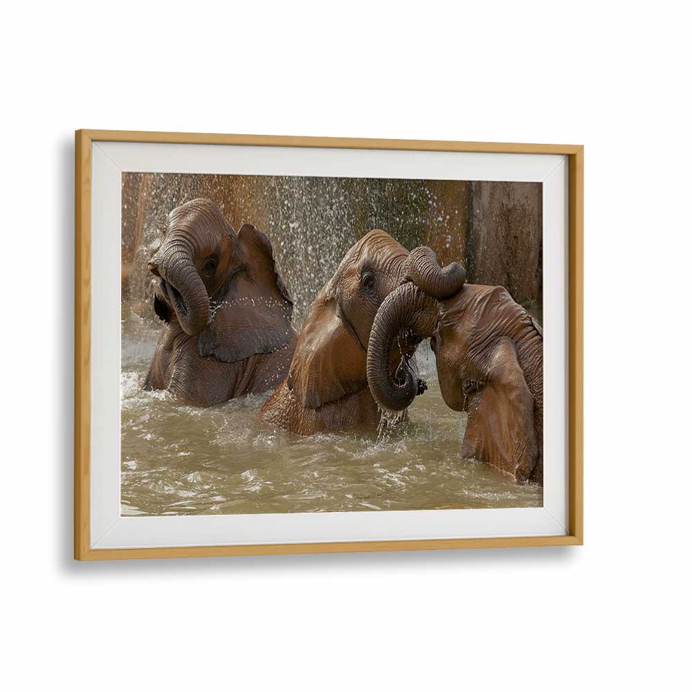 BATH TIME PLAY BY MARC PELISSIER , LANDSCAPE PHOTO PRINTS