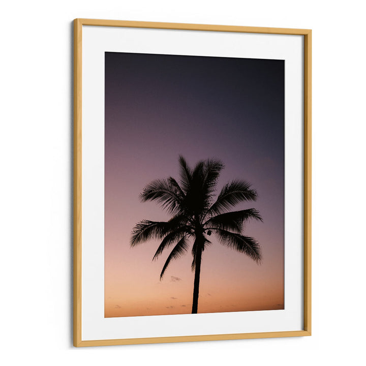 COSTA RICA PALM TREE BY RAISA ZWART , LANDSCAPE PHOTO PRINTS