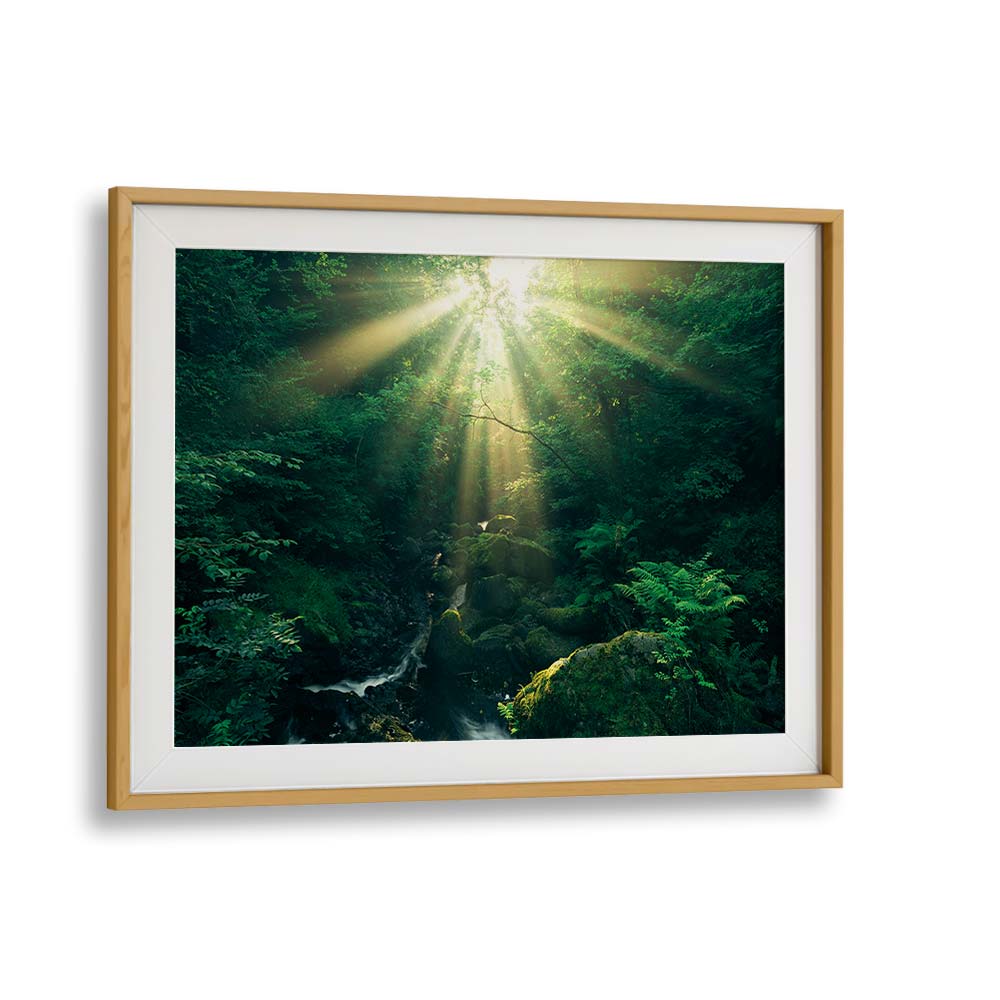 GREEN RAYS BY STEFAN HEFELE , LANDSCAPE PHOTO PRINTS