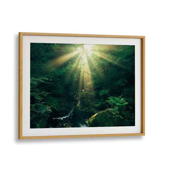 GREEN RAYS BY STEFAN HEFELE , LANDSCAPE PHOTO PRINTS