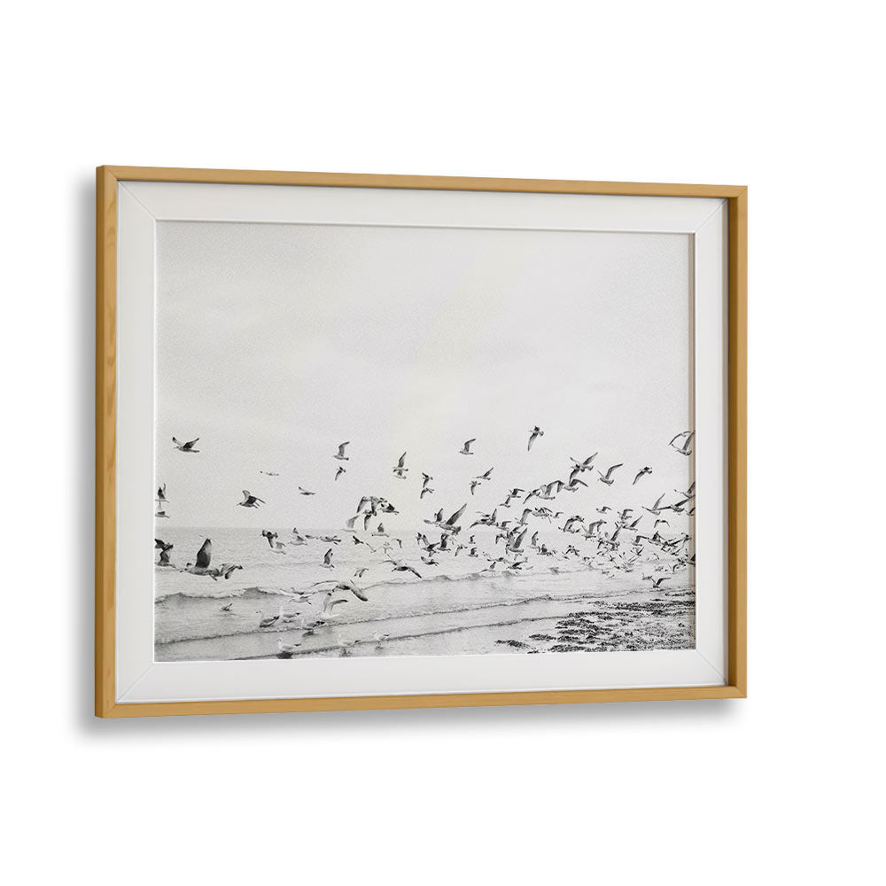 SEAGULLS - COASTAL BLACK AND WHITE , LANDSCAPE PHOTO PRINTS