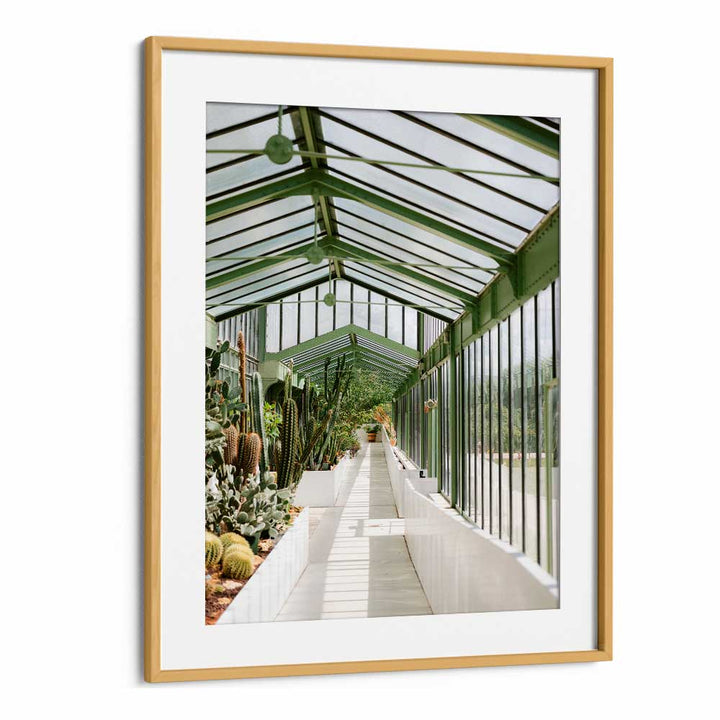 BOTANICAL GARDEN OF PARIS BY RAISA ZWART , LANDSCAPE PHOTO PRINTS