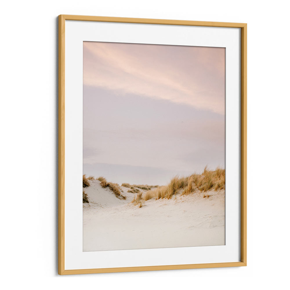 AMELAND DUNES III , PHOTOGRAPHY PRINTS